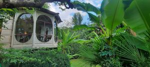Jungle garden at Le Robinson in Albi