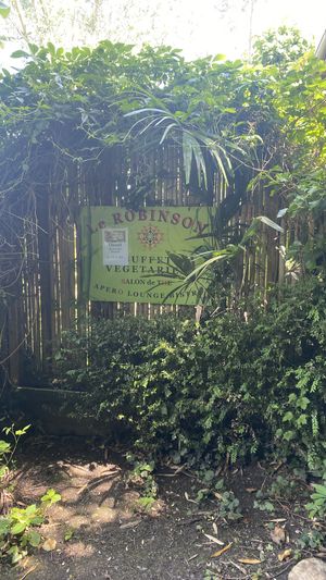   at Le Robinson in Albi