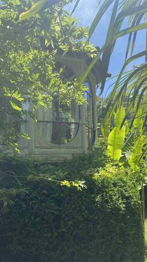   at Le Robinson in Albi