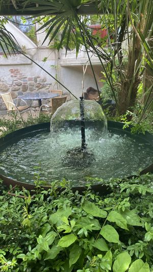   at Le Robinson in Albi