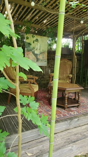  at Le Robinson in Albi