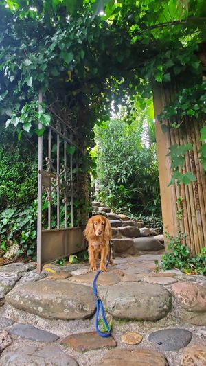  at Le Robinson in Albi