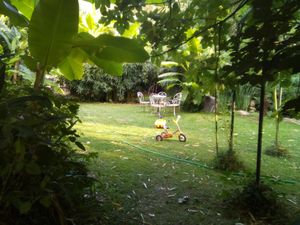 Garden at Le Robinson in Albi