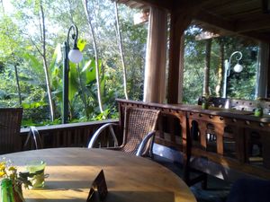 Garden at Le Robinson in Albi