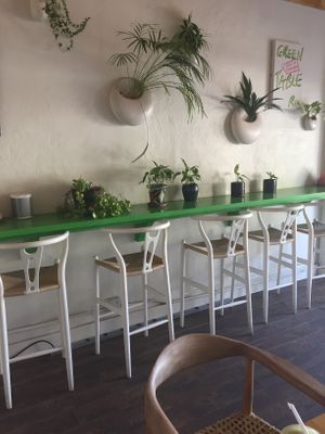 Plants everywhere! Plenty of outdoor seating. at Green Table  in Santa Barbara