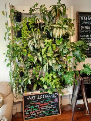 Very cute plant wall 😍 at Green Table  in Santa Barbara