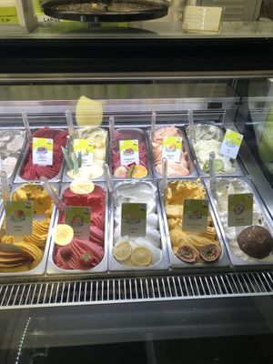 Some of the vegan flavors  at The Gelatist in Rome