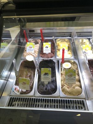 Some of the vegan flavors  at The Gelatist in Rome