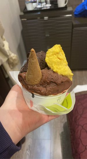 4 flavours! 2x Chocolate & Rice, 1x Dark Chocolate and 1x Mango.  at The Gelatist in Rome