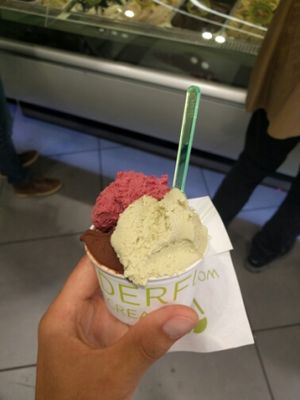 vegan icecream at The Gelatist in Rome