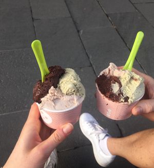 A lot of vegan options! Especially the ones with rice milk are amazing! I really recommend this place 😊 at The Gelatist in Rome