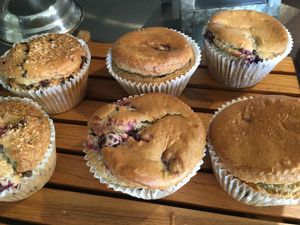 Brooklyn Whiskers Bakery at Brooklyn Whiskers - Broadway in Brooklyn