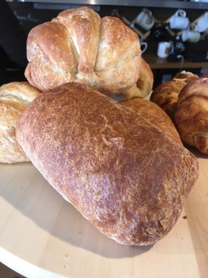 Brooklyn Whiskers Bakery at Brooklyn Whiskers - Broadway in Brooklyn