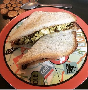 Tofu sandwich at Brooklyn Whiskers - Broadway in Brooklyn