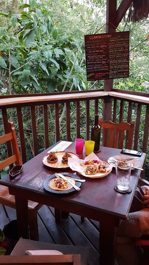 Lentil cakes and tacos with the jungle view at Cocina Clandestina in Montezuma