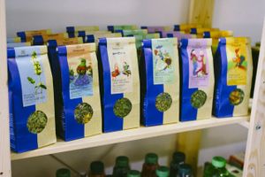 Sonnentor at Umay in St Petersburg