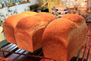 Sourdough Loaf at Cafe Frosch in Kyoto