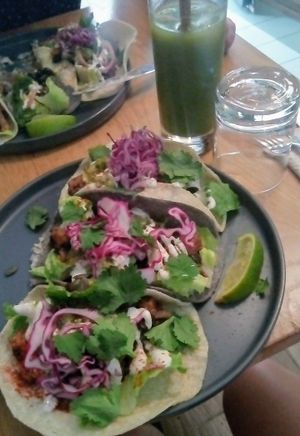 Pulled jackfruit tacos at KOKO Green in Nice