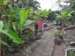 Outdoor seating with nature and a beautiful lady at Degree 18 Juice Bar in Palmer