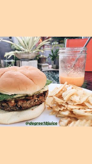 the veggie burger was really good! would definitely recommend   at Degree 18 Juice Bar in Palmer