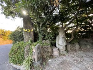 entrance  at Dasoni in Jeju