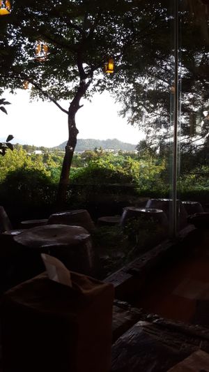 The view at Dasoni in Jeju