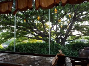 View to outside at Dasoni in Jeju