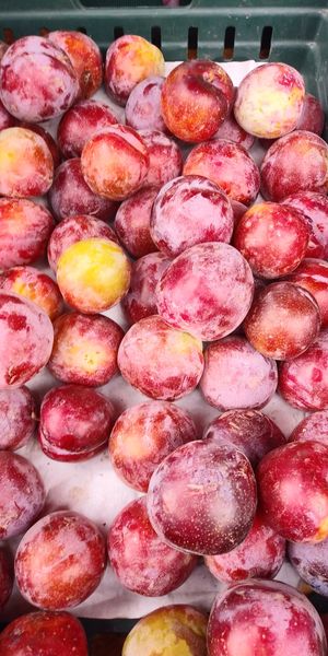 Pluots at Farmer's Market - downtown Berkeley in Berkeley
