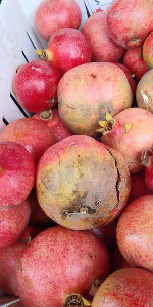 Pomegranate at Farmer's Market - downtown Berkeley in Berkeley