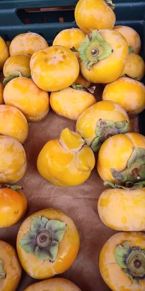 Persimmons at Farmer's Market - downtown Berkeley in Berkeley