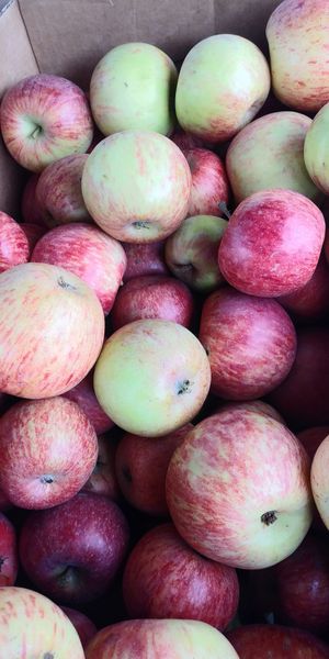 Rome Beauty Apple at Farmer's Market - downtown Berkeley in Berkeley