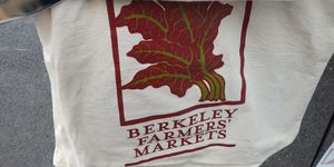 Farmer's Market Canvas Bag at Farmer's Market - downtown Berkeley in Berkeley