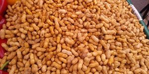 Peanuts at Farmer's Market - downtown Berkeley in Berkeley