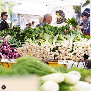 . at Farmer's Market - downtown Berkeley in Berkeley