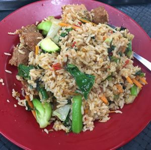 spicy fried rice(no oil) 10$ at Blossoming Lotus in Haymarket