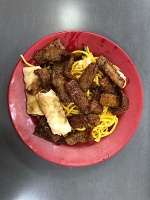 Noodles/Soy Strips at Blossoming Lotus in Haymarket
