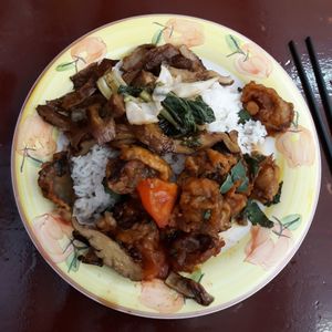 A two choice dish of 'duck' and eggplant, tomato and mushrooms. at Blossoming Lotus in Haymarket