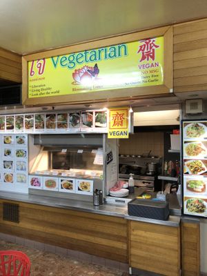 Very nice food at Blossoming Lotus in Haymarket