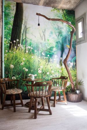 special forest at Xícara Tenda in Santiago De Compostela