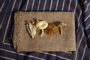 mushrooms at The Crown in Hastings