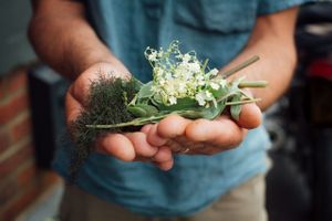 foraged herbs at The Crown in Hastings