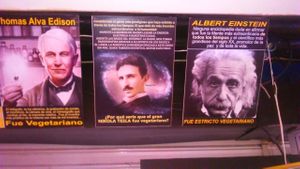 Wall Of The Restaurant at Los Robots in Medellin