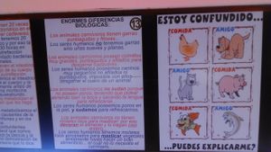 Wall Of The Restaurant at Los Robots in Medellin