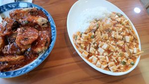 Chili eggplant and Mapo Tofu (veganized) at Gawon - 가원 in Seoul