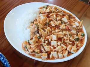 Mapo Tofu (veganized) with rice 채식마파두부덮밥 at Gawon - 가원 in Seoul