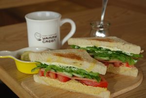 Hummus sandwich at Yammy Green in Busan