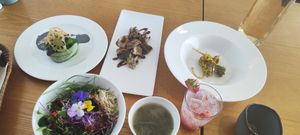  at Vegenarang in Busan