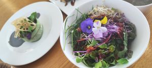  at Vegenarang in Busan