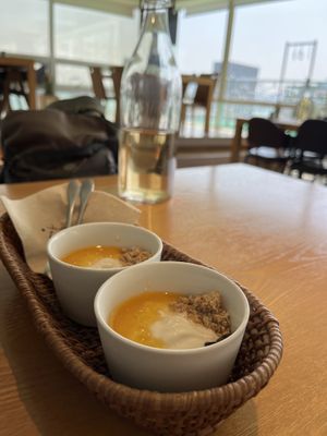   at Vegenarang in Busan