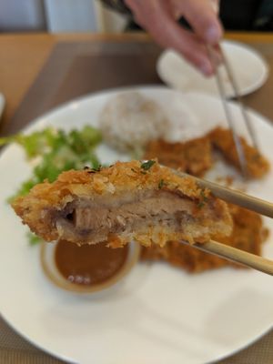 Cutlets!! at Vegenarang in Busan